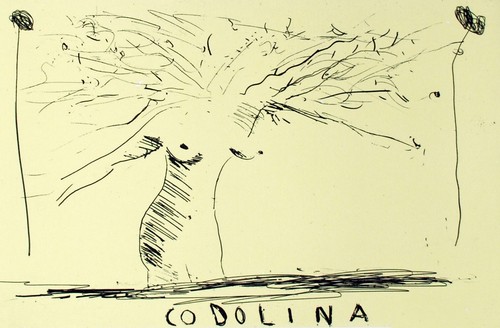 Aldo mondino codolina - mondino,