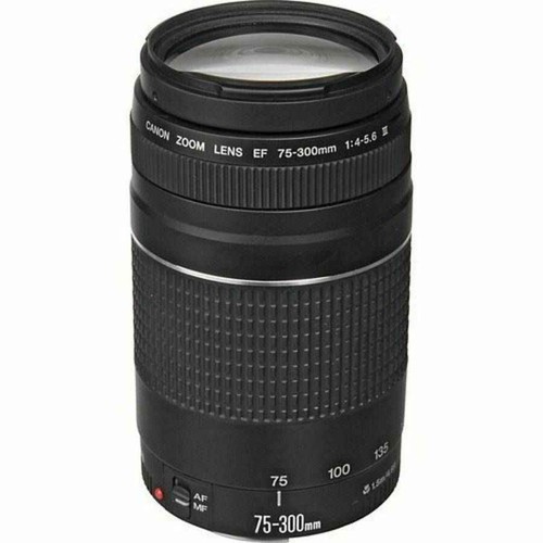 Canon 300mm 5 - 75-300mm, iii
