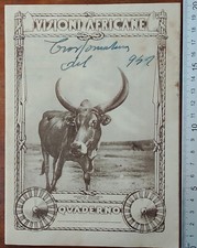 AFRICAN VISIONS NOTEBOOK