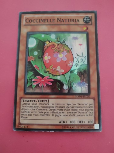 Coccinelle naturia carte - carte, yu