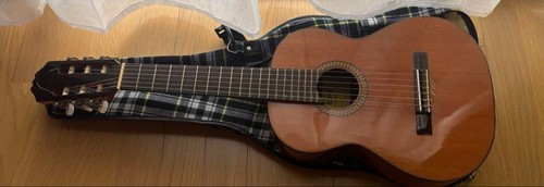Chitarra classica usata aria - classica,
