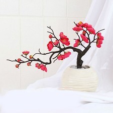 Rami di fiori di prugna