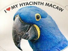 OFFERTA!  Adesivo in vinile