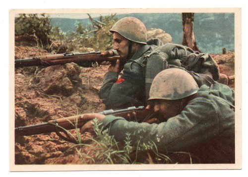 Militarie reggimentali - militarie,