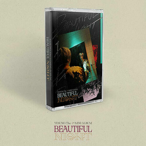 Yesung beautiful night 4th - yesung,