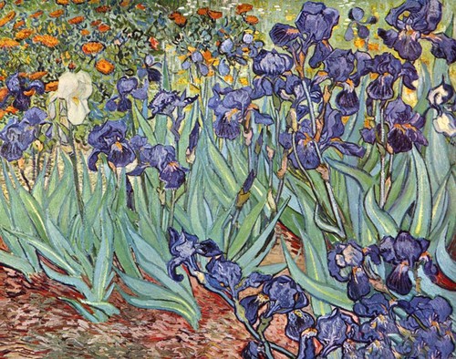 Dipinto olio vincent van - olio,