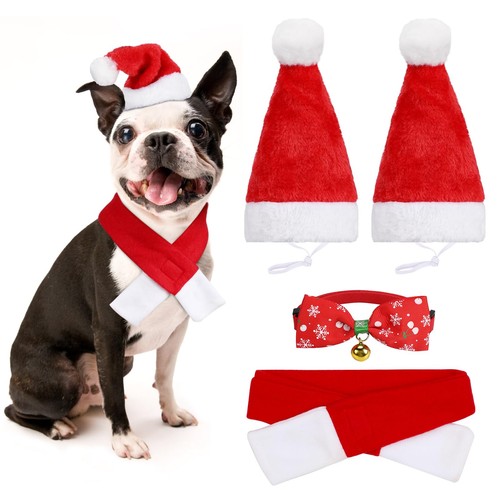 Pezzi cane babbo - 4, natale
