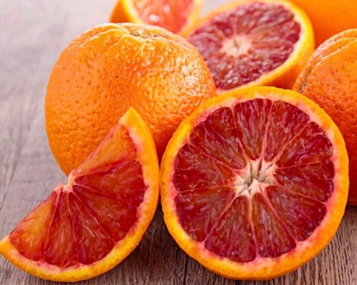 Citrus sinensis tarocco - citrus,