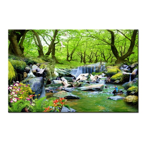 Natura foresta cascate - foresta,
