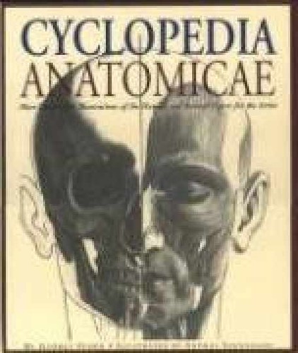 Cyclopedia anatomicae more - anatomicae:,