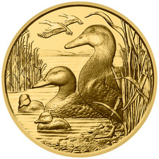 Moneta Oro L'anatra bastone