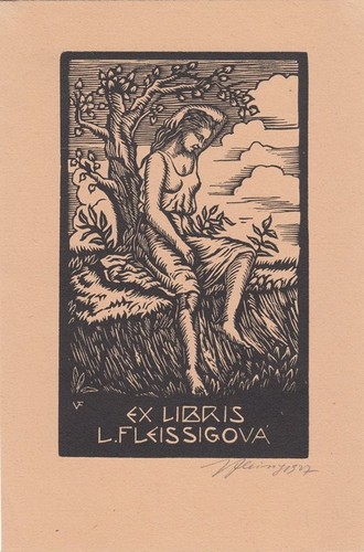 Exlibris bookplate incisione - exlibris,