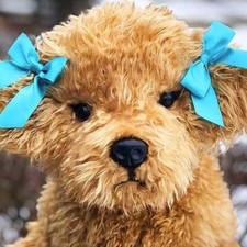 Auswella Peluche Lucy