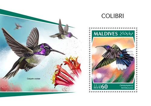 Francobolli colibrì colibri - francobolli,