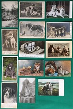 14 Cartoline UK cani gatti animali umoristiche Primi 900 Berkeley Faulkner horse