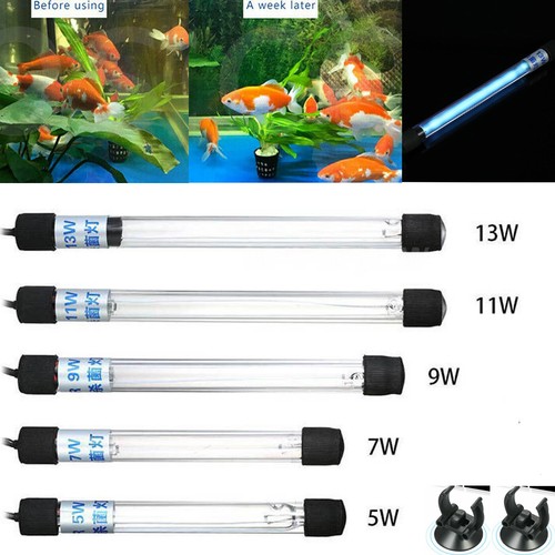 Acquario sterilizzatore luce - acquario,