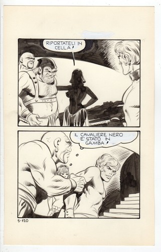 Leone frollo tavola - leone,