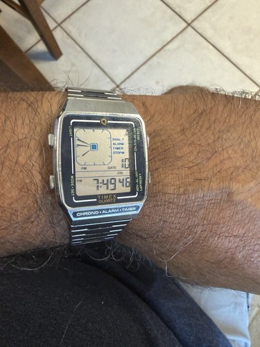 Timex riedizione 5mm - timex, 32,5mm
