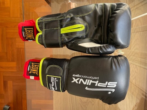 Guantoni boxe sphinx - guantoni,