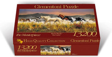 - 38006 Collection Puzzle -