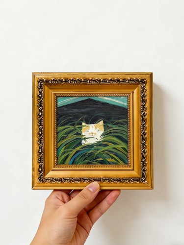 Gatto che sbircia - , attraverso