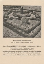 SOCIETA' AMICI DEI FIORI - Aiuole Bicolori 1931 Firenze Sanremo - Cartolina