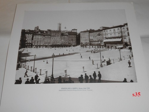 Piazza del campo siena - del,
