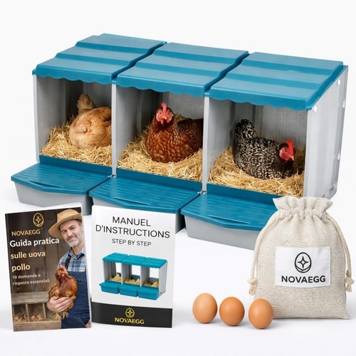 Pollaio per galline - con, 3