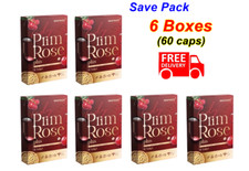 6X Primula Donna Mafinze Lady