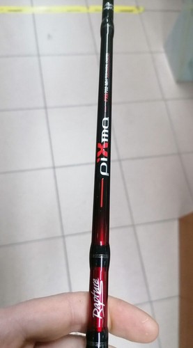 Canna spinning rapture - da,