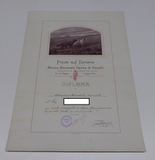 DIPLOMA ATTESTATO PROVE SUL TERRENO MOSTRA NAZIONALE CANINA VERCELLI 1924 CACCIA
