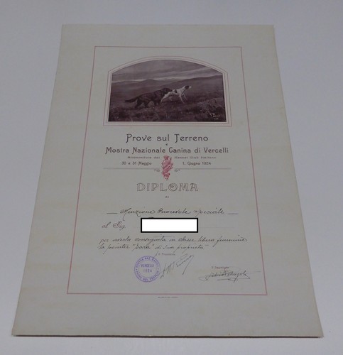 Diploma attestato prove sul - diploma,