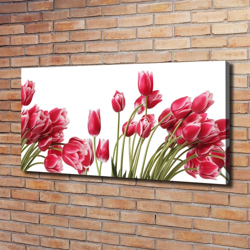 Tulup dipinto tela pittura - dipinto,