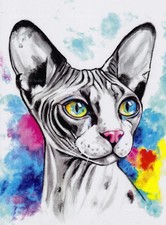 Stampa artistica moderna gatto sphynx
