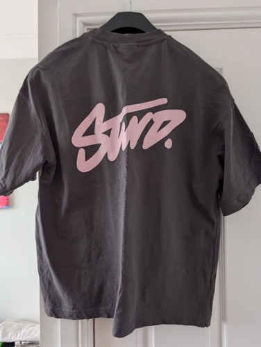 Shirt pull and - t-shirt, bear