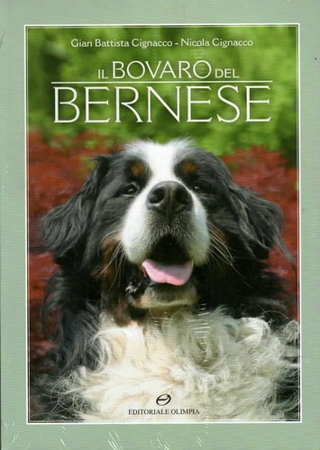 Bovaro del bernese cane - il,