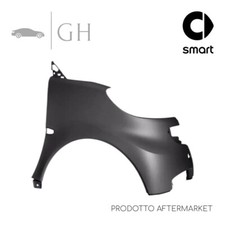 PARAFANGO ANTERIORE DESTRO