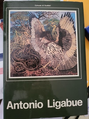 Libro antonio ligabue - libro,