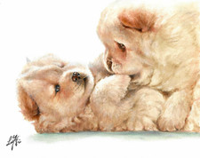 ✤ Dipinto ORIGINALE olio