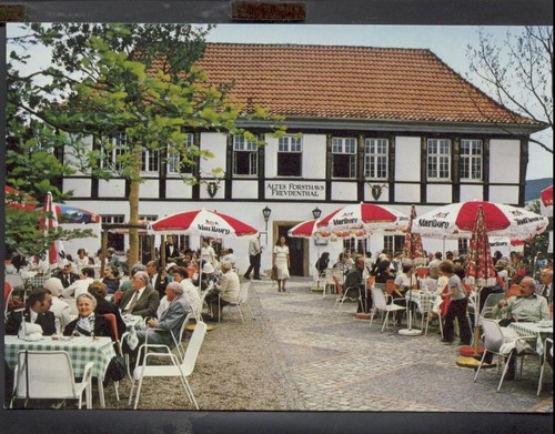 Bad iburg hotel im - hotel,