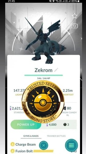 Pokémon shiny zekrom - pokémon, g0