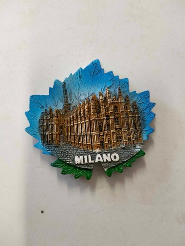 Magnete calamita resina - resina, frigo