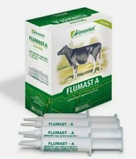 12 Candelette Bovini Ovini