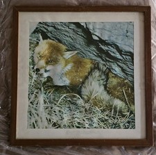 Quadro incorniciato con