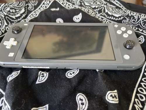 Nintendo switch lite - switch,