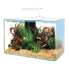 Acquario Zolux Clear 40 LED 17 Lt 40x20x25h completo di accessori