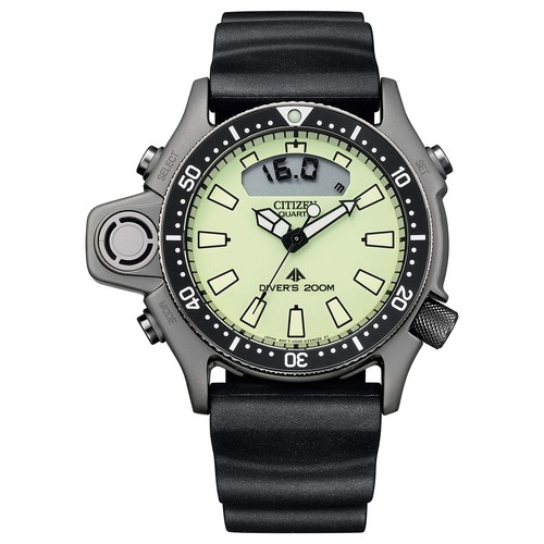 Citizen watch aqualand full - watch, i