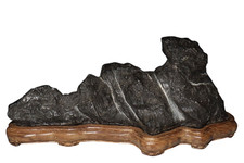 Bonsai di pietra da vista