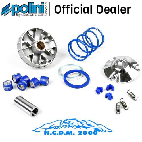 Variatore polini speed - variatore, hi-speed