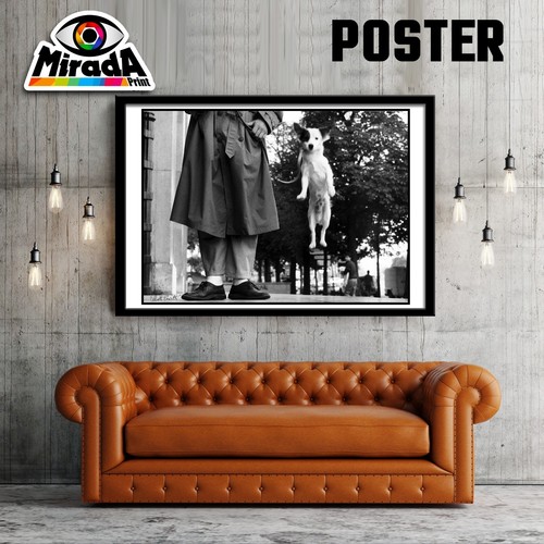 Foto autore photo photos - photo,